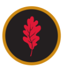 Rechteck 2 Icon mit rotem Blatt