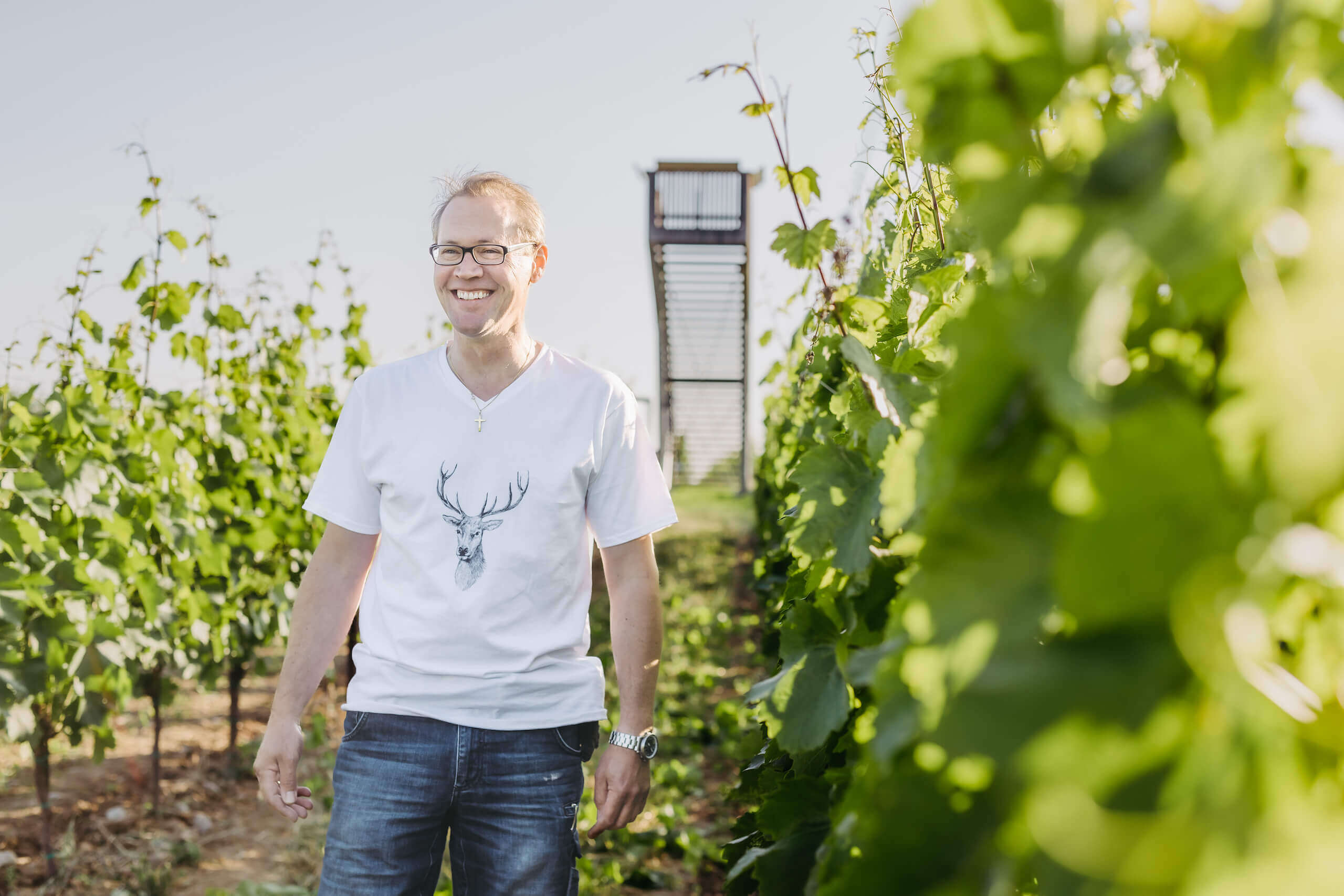 Anton Iby bei der Ernte der Trauben